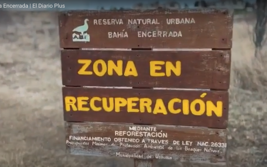 Bahía Encerrada: Zona en dudosa recuperación