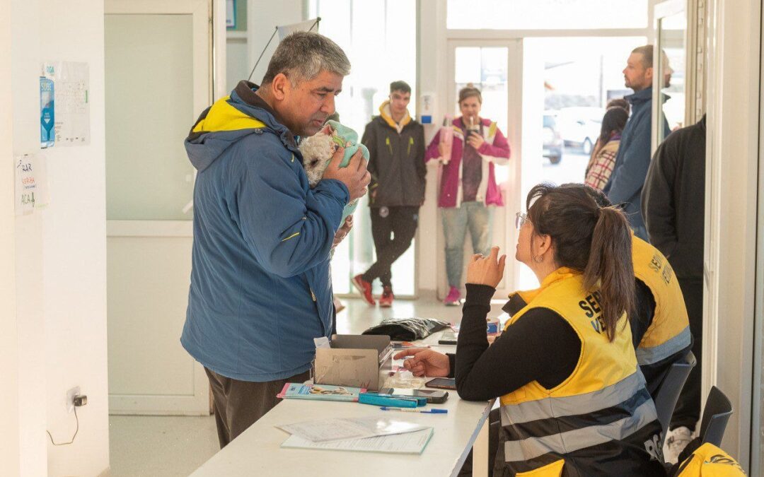 Nueva jornada de vacunación antirrábica y chipeo en Río Grande