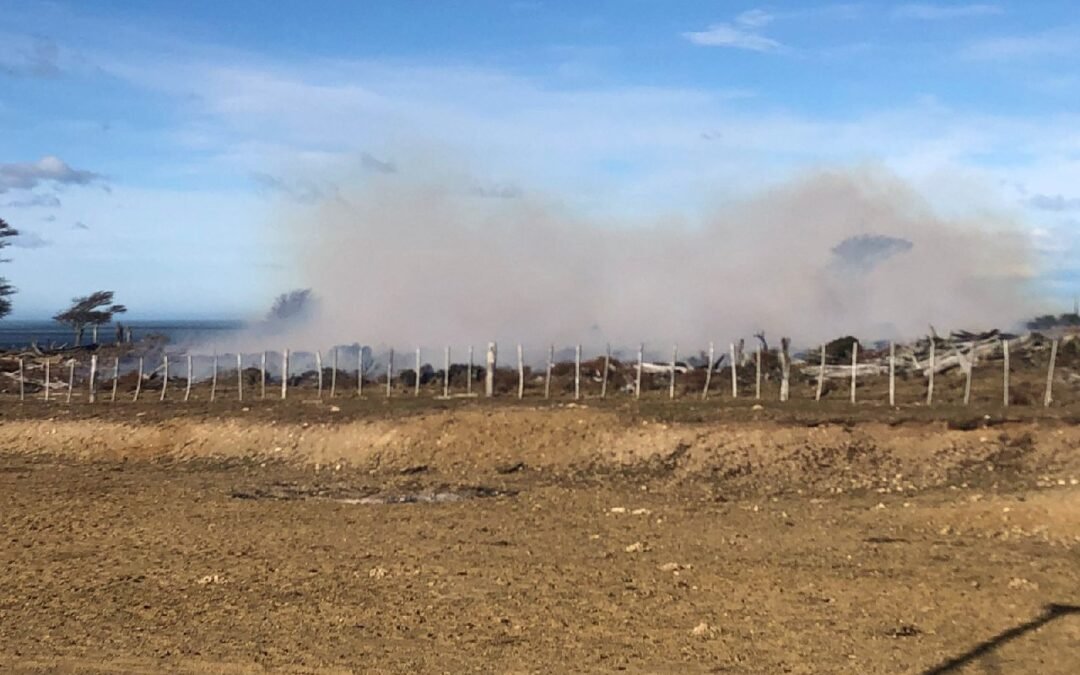 Intensa tarea para controlar incendio en Estancia La Fueguina