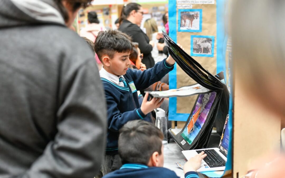 18 proyectos de la provincia pasaron a las instancias nacionales de la Feria de Arte, Ciencias y Tecnología