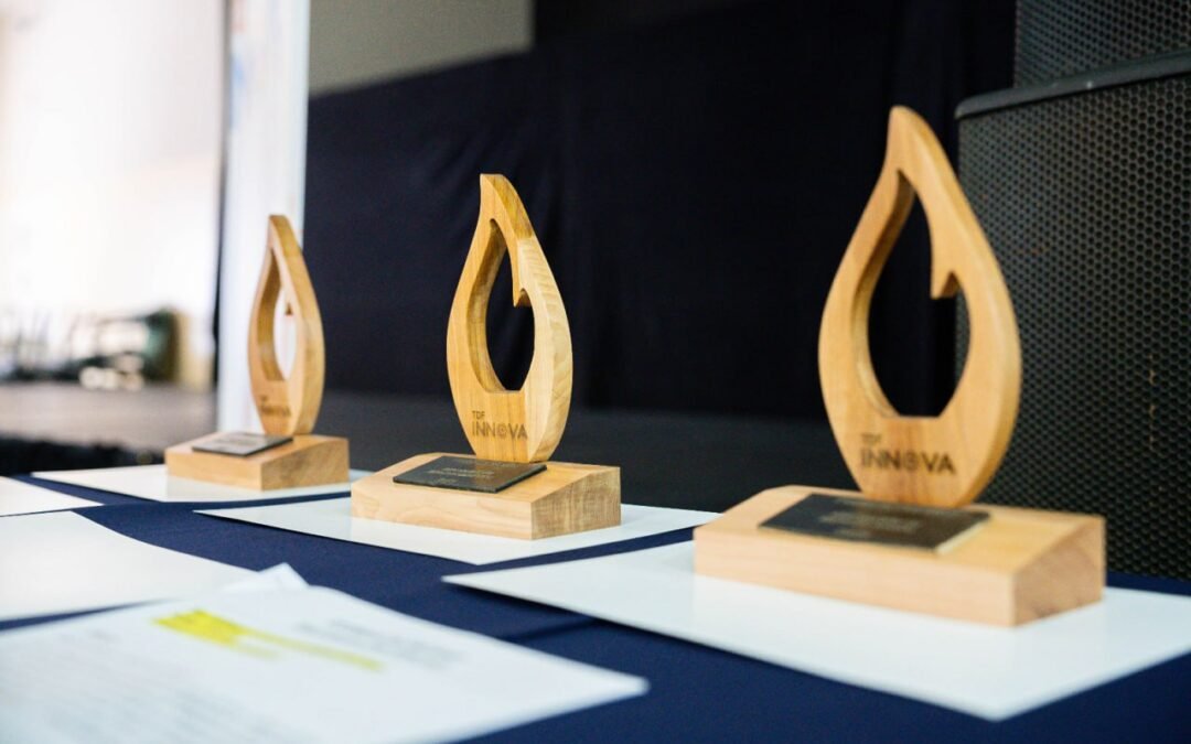 Se abrieron las inscripciones para TDF INNOVA