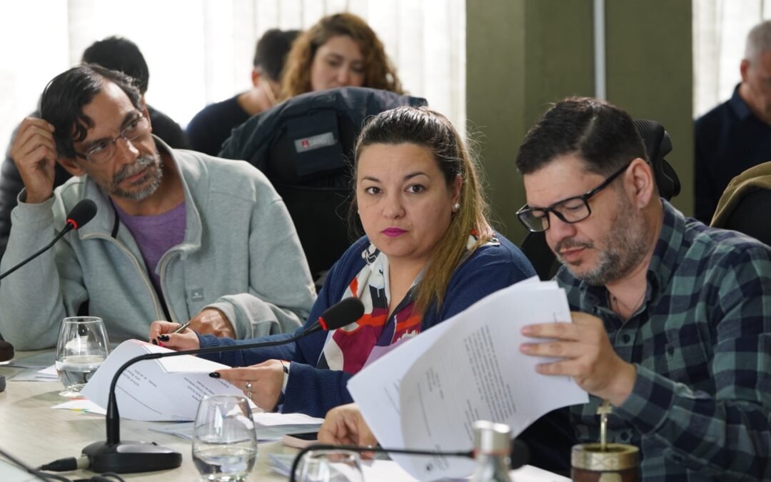 Analizan proyectos para actualizar la normativa que rige el ordenamiento territorial