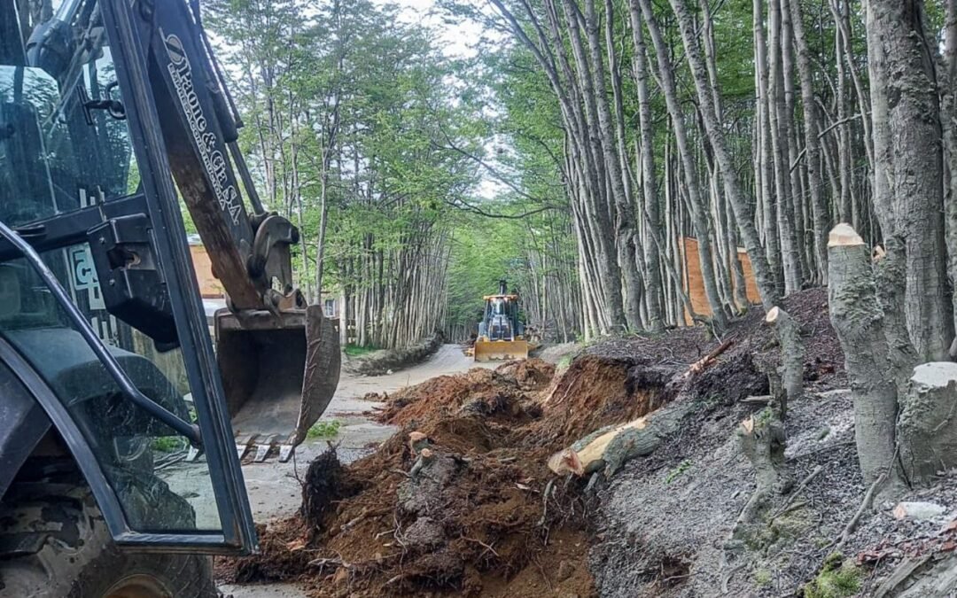El Municipio realizó tareas de mantenimiento de la calle principal del barrio Dos Banderas
