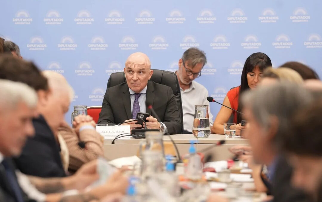 Cámara de Diputados: Ya hay dictamen a favor de la privatización de Aerolíneas Argentinas