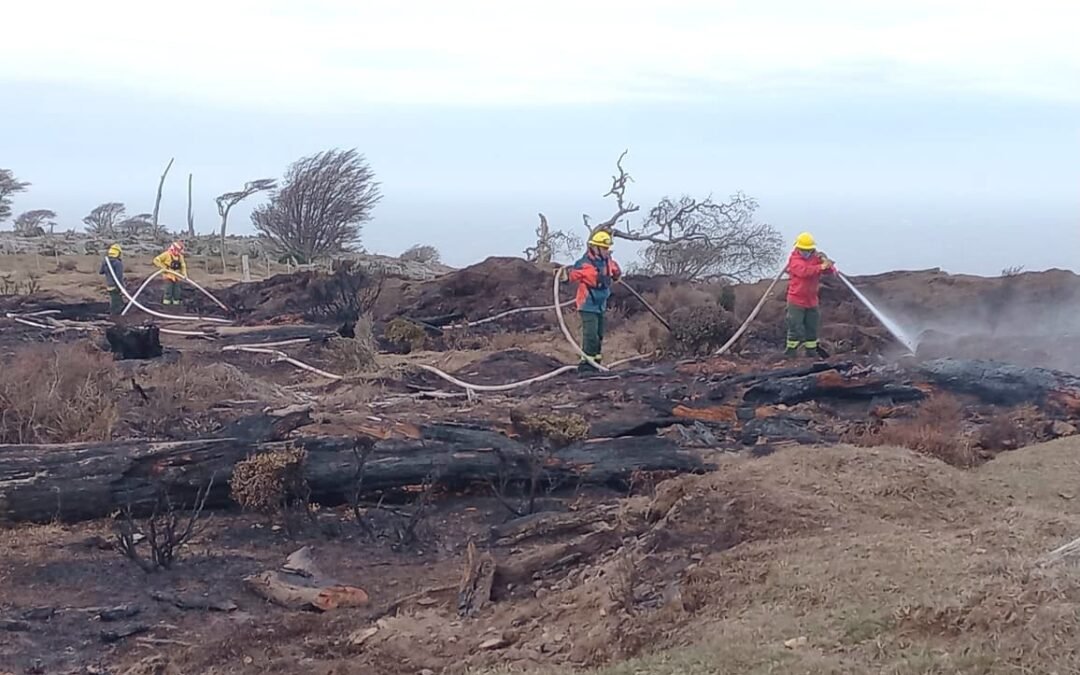 El incendio en Estancia La Fueguina se encuentra extinguido