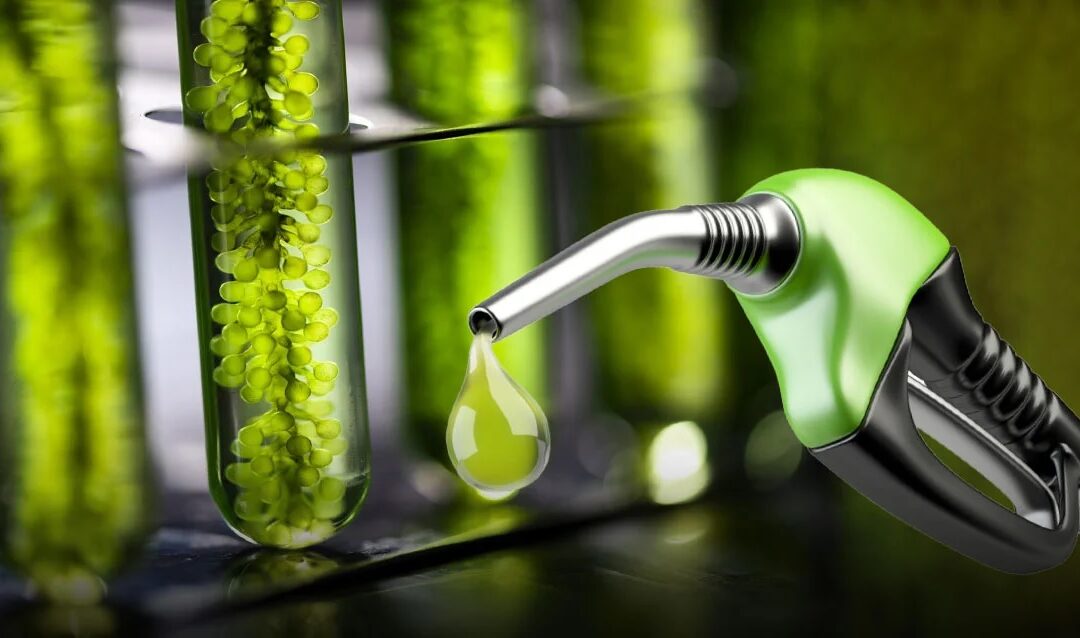 Aprueban una nueva suba de los biocombustibles