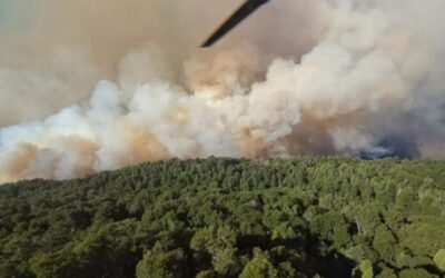 Incendio en el Parque Nacional Nahuel Huapi: ya se consumieron más de 1.800 hectáreas