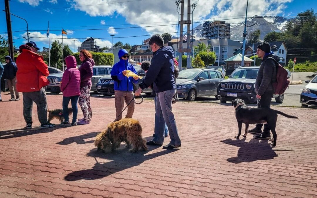 Con el Quirófano Móvil, la Municipalidad participó de la “Caninata” de ARAF