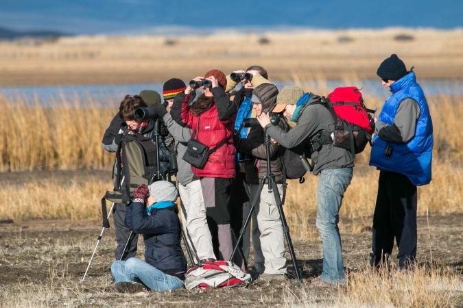 El Club Observatorio de Aves cierra el año con la presentación de su nuevo logo