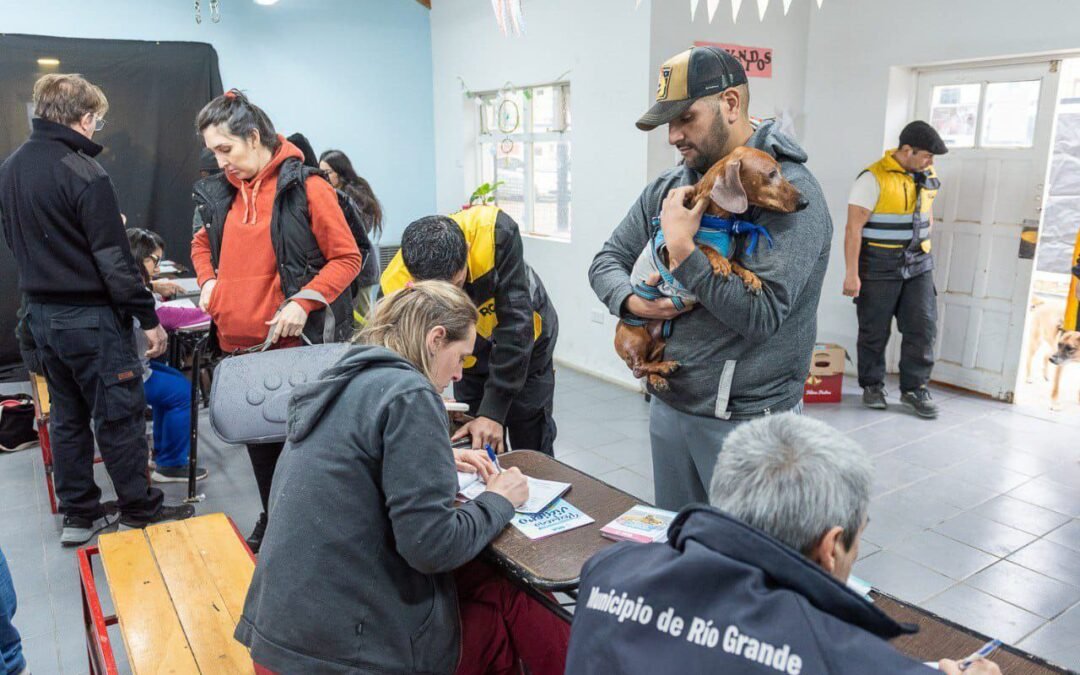 Río Grande: El Municipio abrió la agenda para el servicio de castración de mascotas