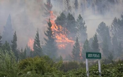 Sigue el incendio forestal en Epuyén y ya se quemaron más de 3 mil hectáreas