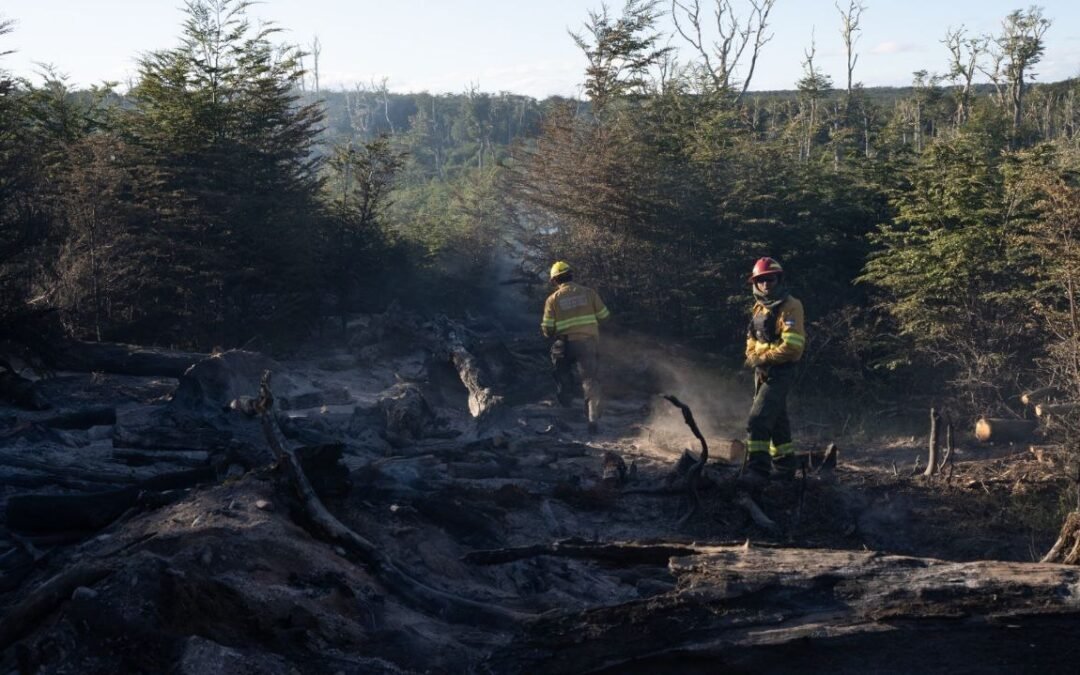 Brigadistas trabajan para evitar la propagación del incendio