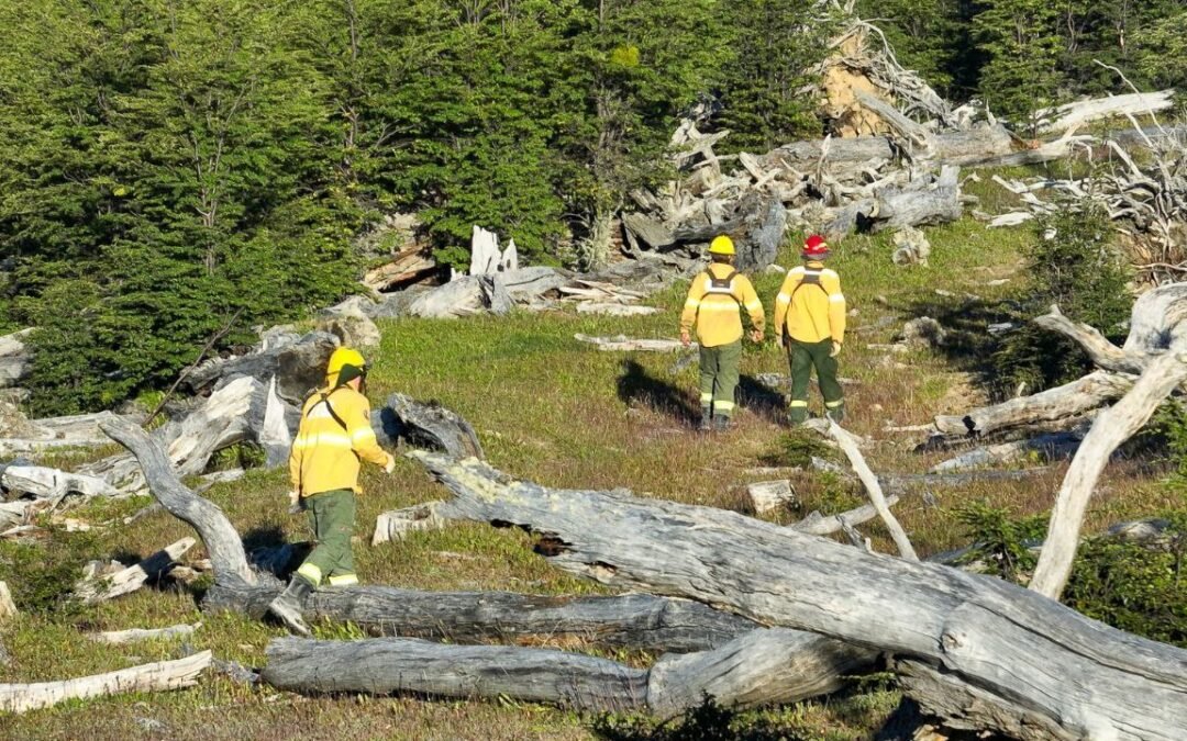 El incendio se encuentra activo pero circunscripto