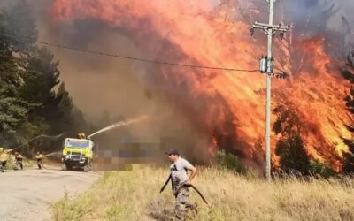 “La situación es desgarradora”, dijo el presidente del comité de Bomberos de El Bolsón