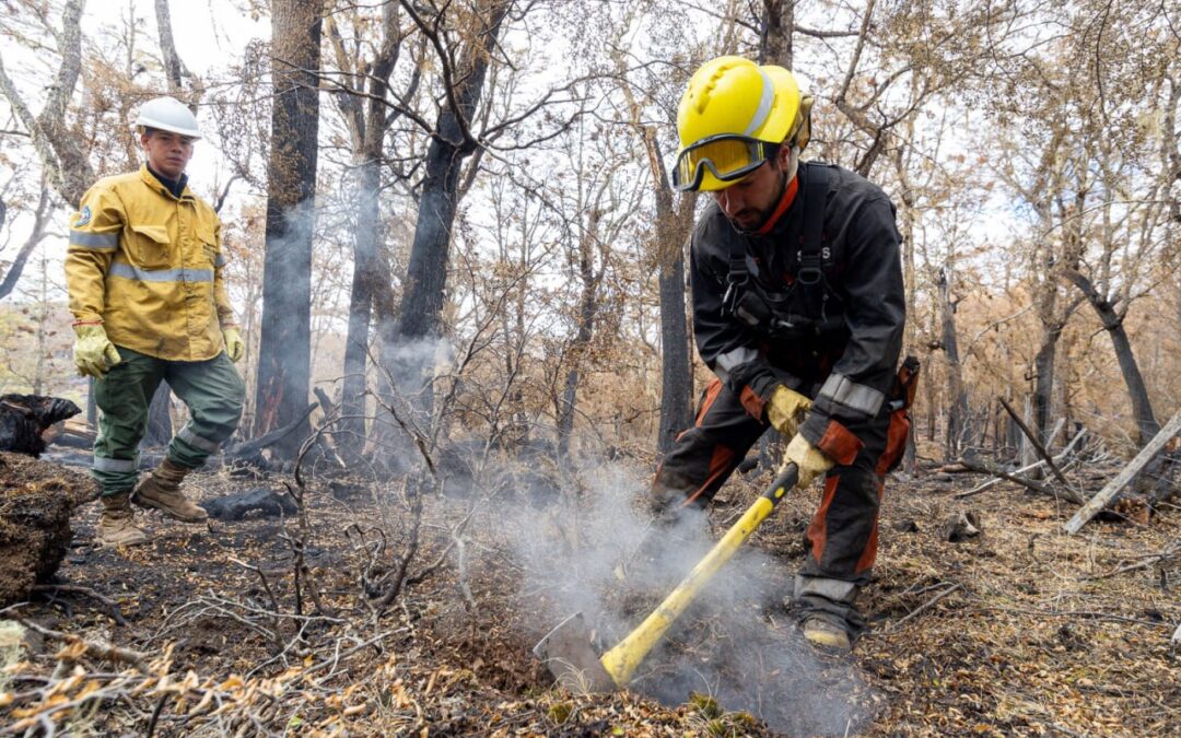 Tierra del Fuego envió brigadistas al Parque Nacional Nahuel Huapi