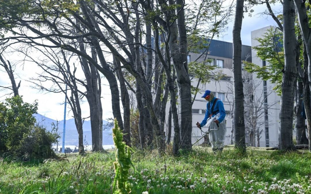 Continúan los trabajos de mantenimiento y puesta en valor de espacios públicos