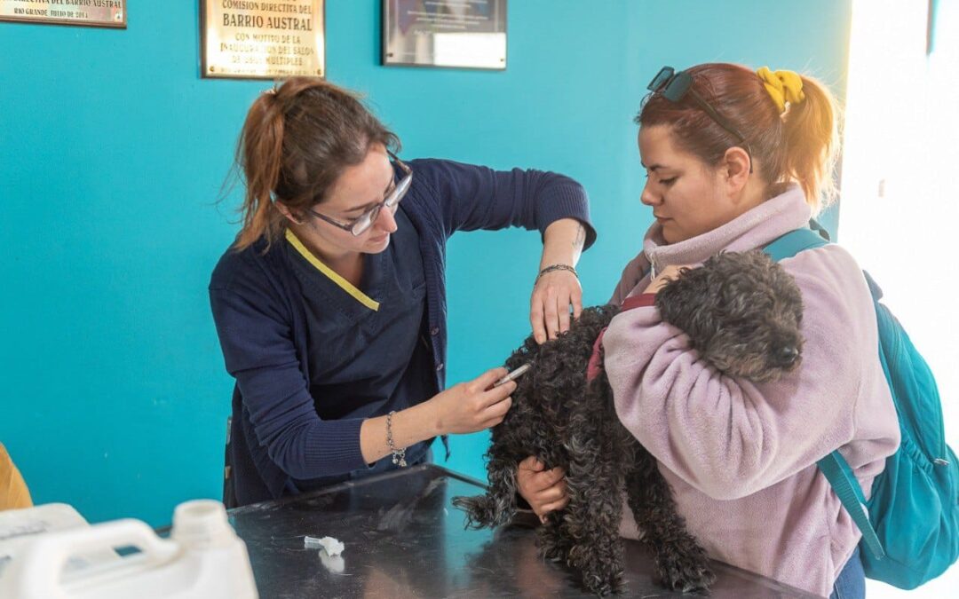 El Municipio realizó una nueva jornada de vacunación y chipeo de mascotas