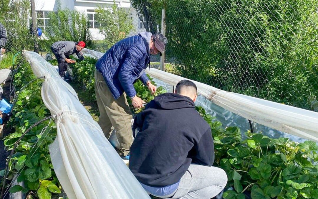 Río Grande: El Municipio concluyó con los seminarios de verano en producción de alimentos