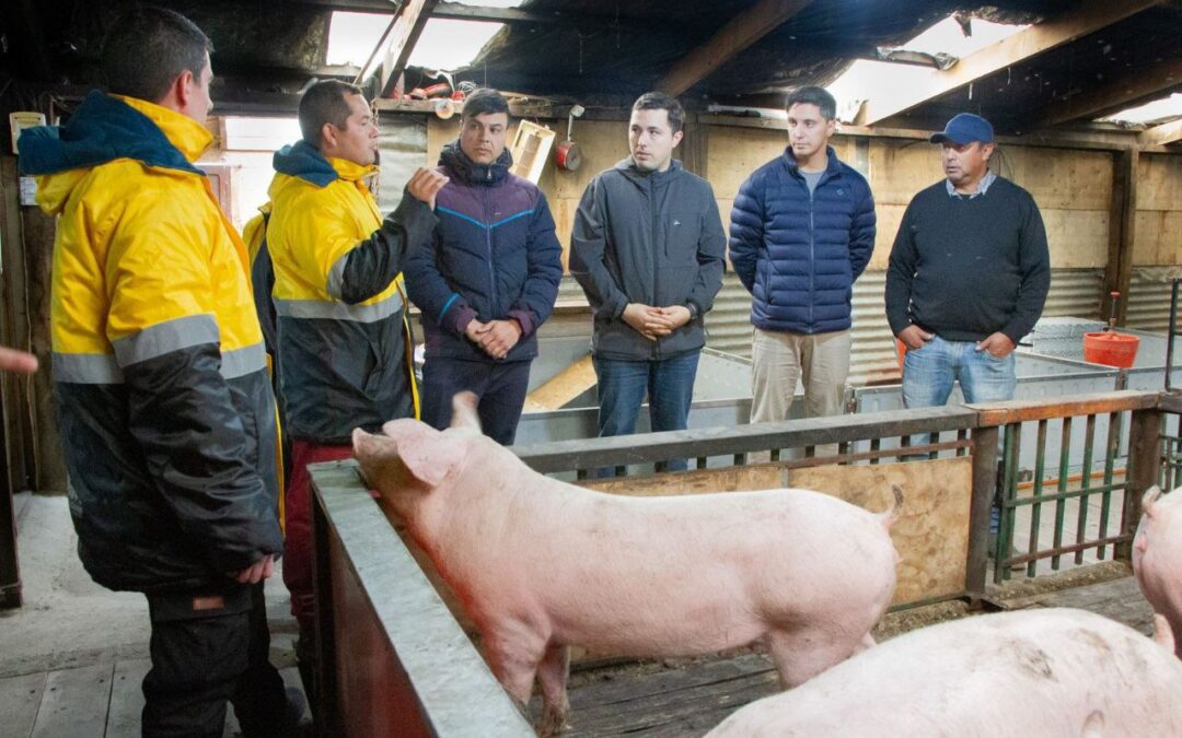 El Municipio de Río Grande acompaña a productores porcinos