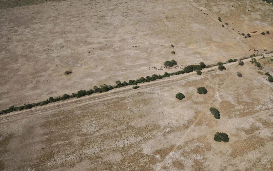 El Gobierno declaró la emergencia agropecuaria para Chaco y Santa Fe