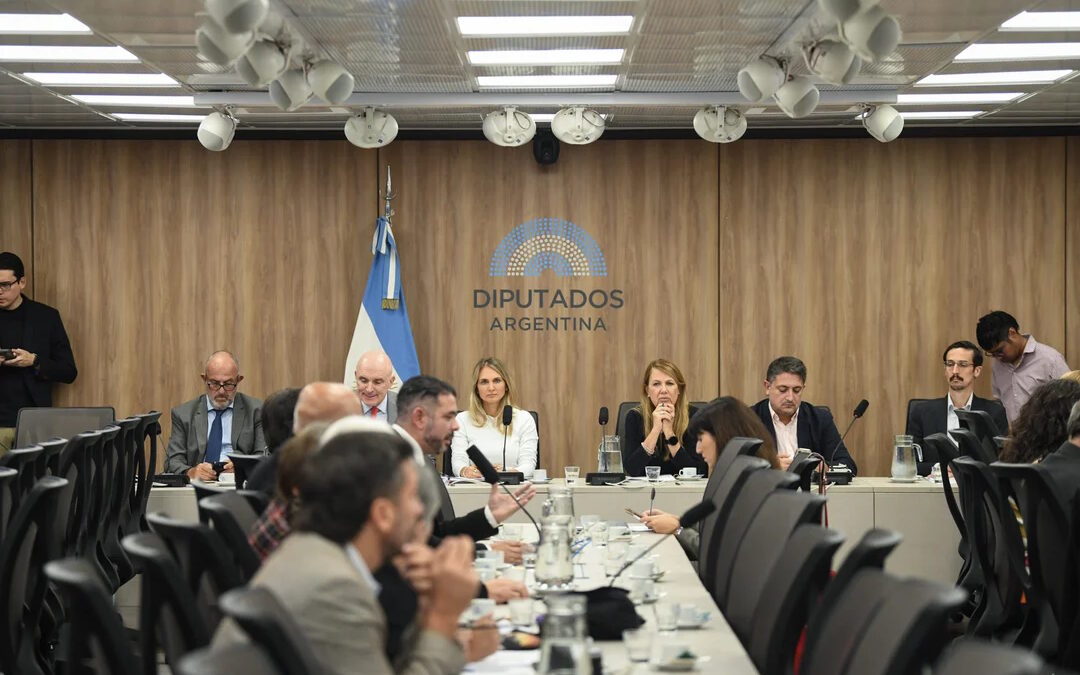 Baja de edad de imputabilidad: Tiene dictamen la modificación al Régimen Penal Juvenil