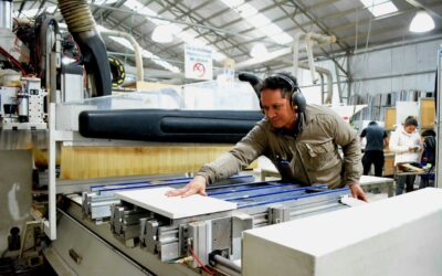 Gobienro lanza asistencia técnica para MiPyMEs