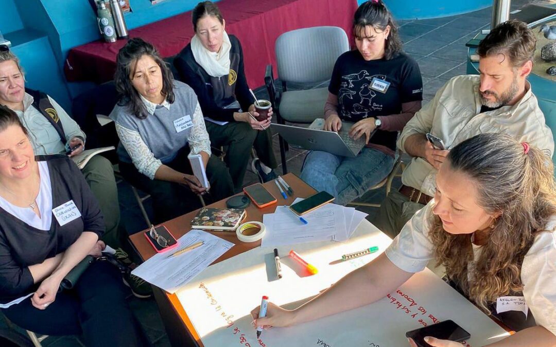Taller Binacional: Tierra del Fuego fortalece su rol en la conservación de aves