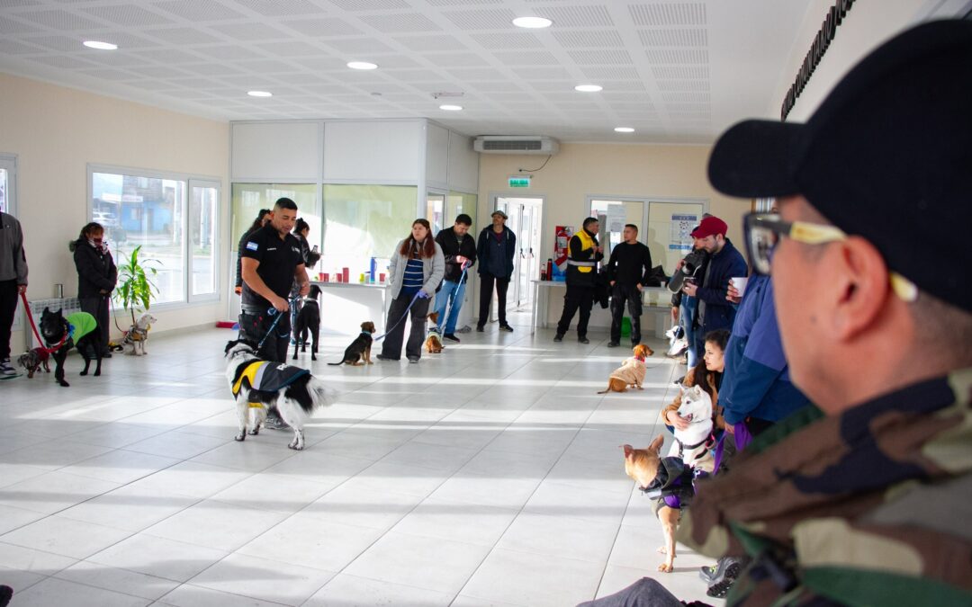 Exitoso taller de adiestramiento canino en el centro comunitario del barrio Perón