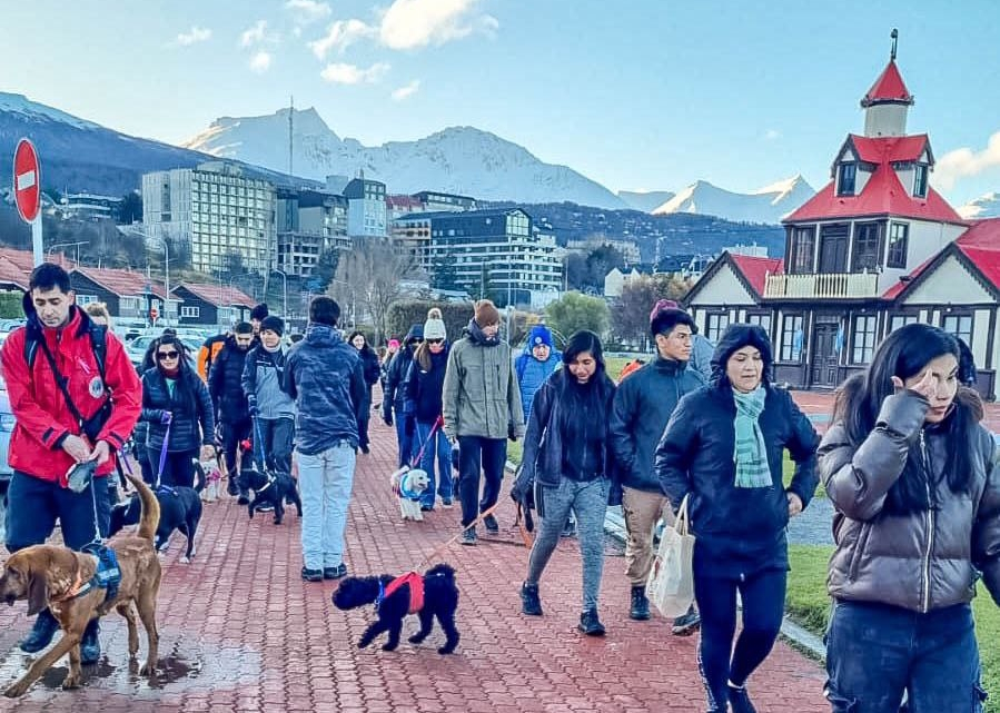 Día del Perro y Día del Bombero: El Municipio acompañó actividad conmemorativa