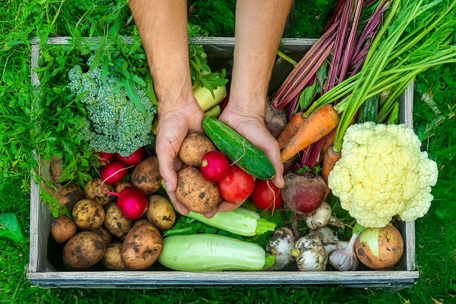 Encuentros para fomentar estilos de vida activos y saludables
