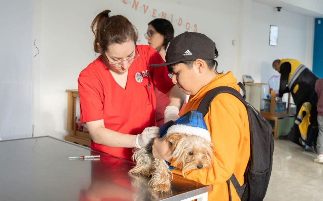 El Municipio de Río Grande realizará una nueva jornada de vacunación antirrábica