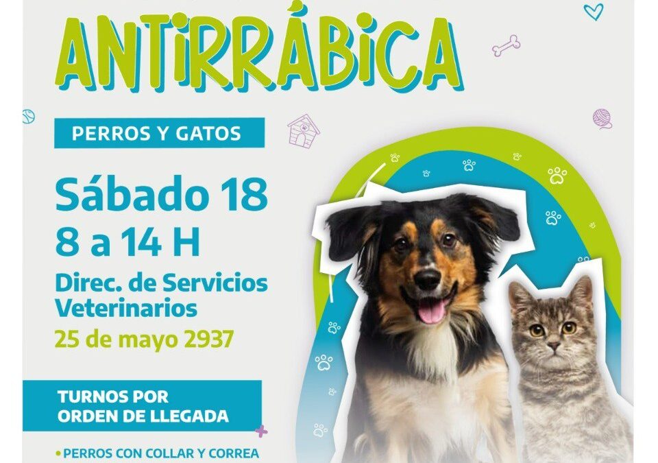 Nueva jornada gratuita de vacunación antirrábica en Río Grande