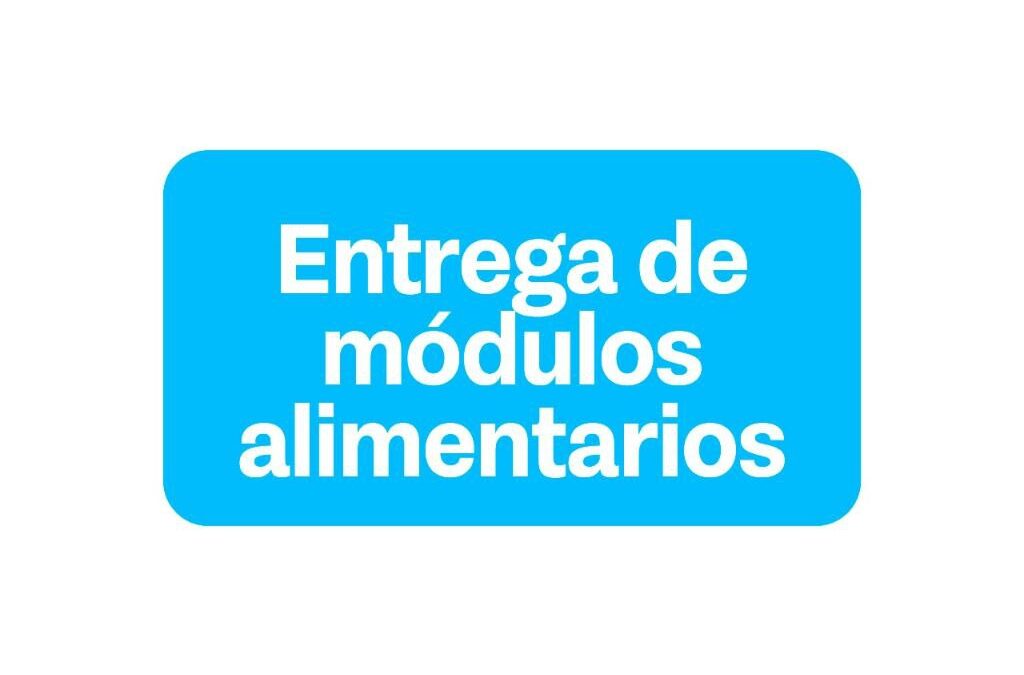 Definen el cronograma de entrega de módulos