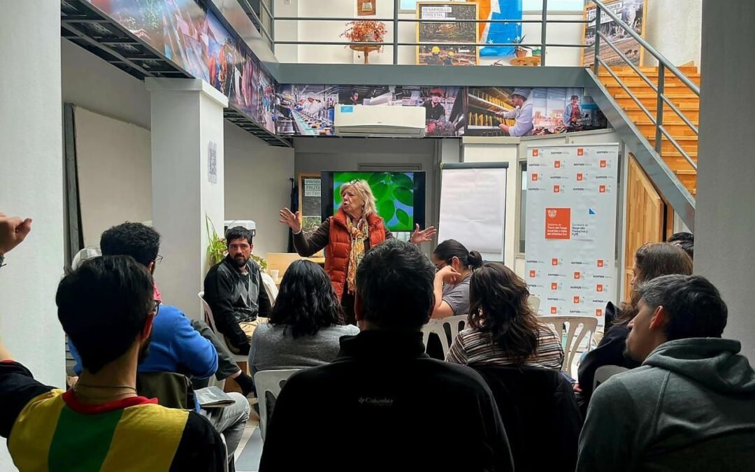 Mipymes fueguinas accederán a una bonificación extra