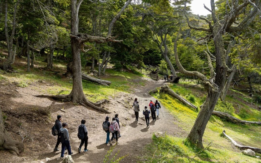 Recomendaciones para disfrutar actividades al aire libre de forma segura y responsable