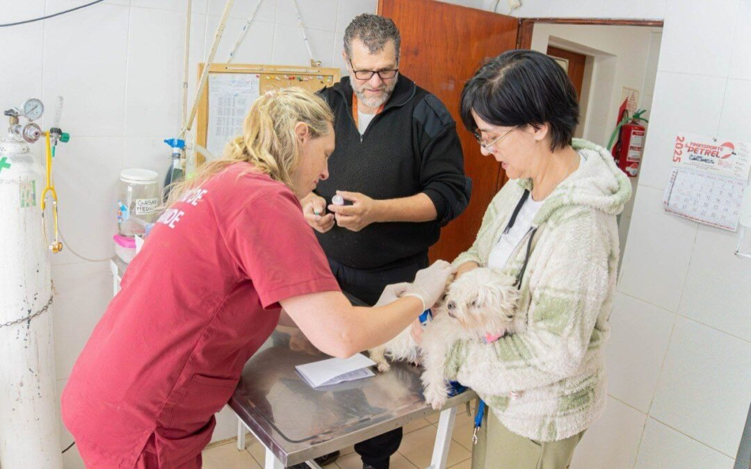 MUNICIPIO DE RÍO GRANDERealizarán una jornada de vacunación antirrábica y adopción responsable