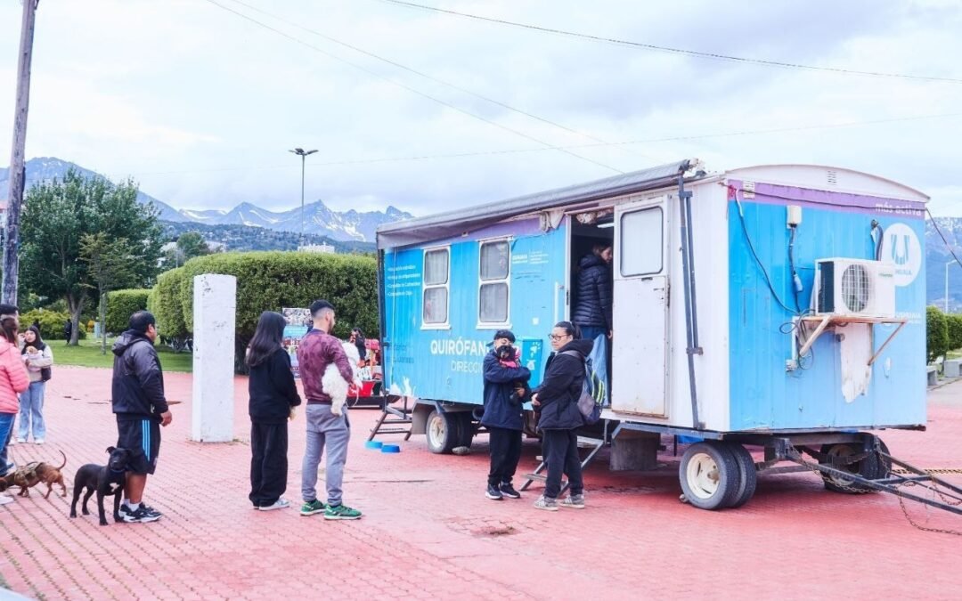 Ushuaia: Brindan recomendaciones para prevenir gastroenteritis en caninos