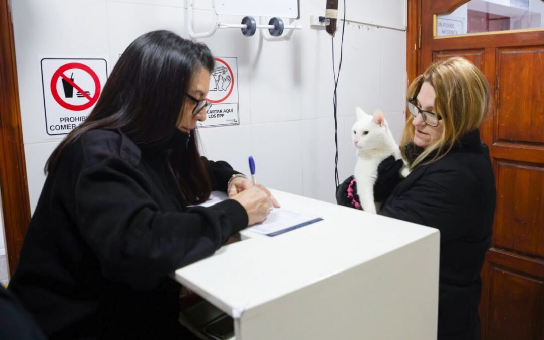 Vacunaron a más de 140 mascotas en Río Grande