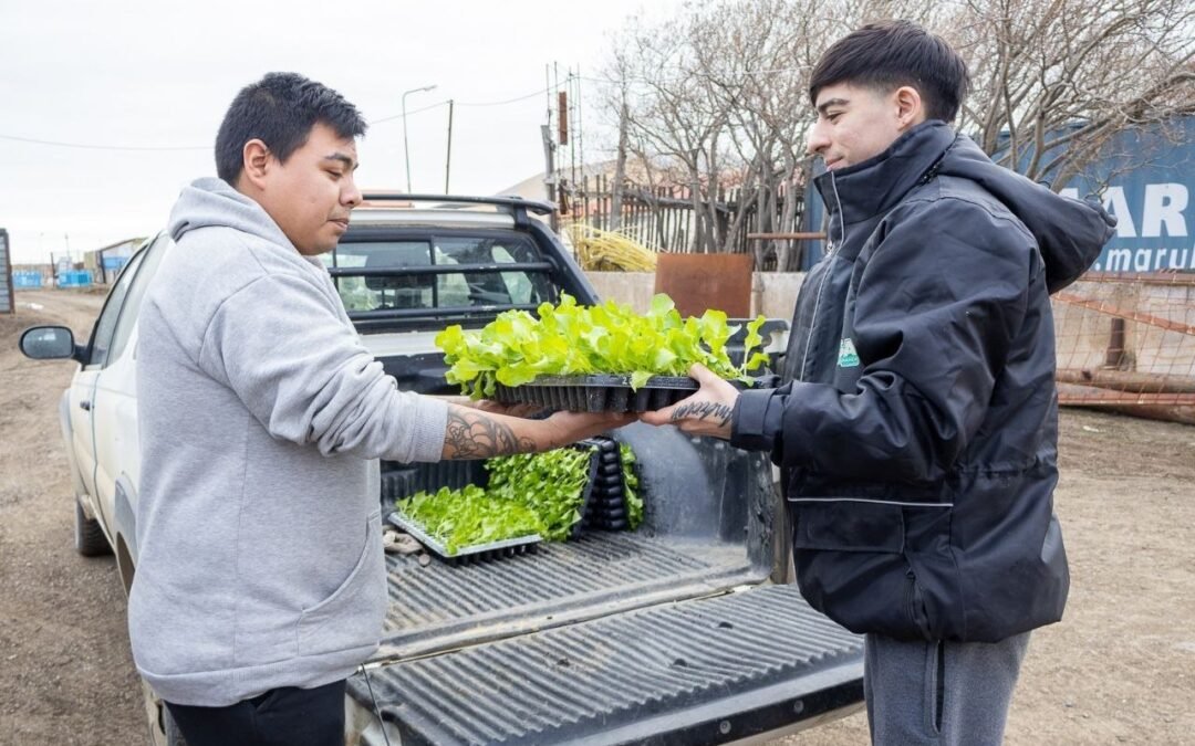 RÍO GRANDESoberanía Alimentaria en Casa: Abren inscripciones para entrega de plantines