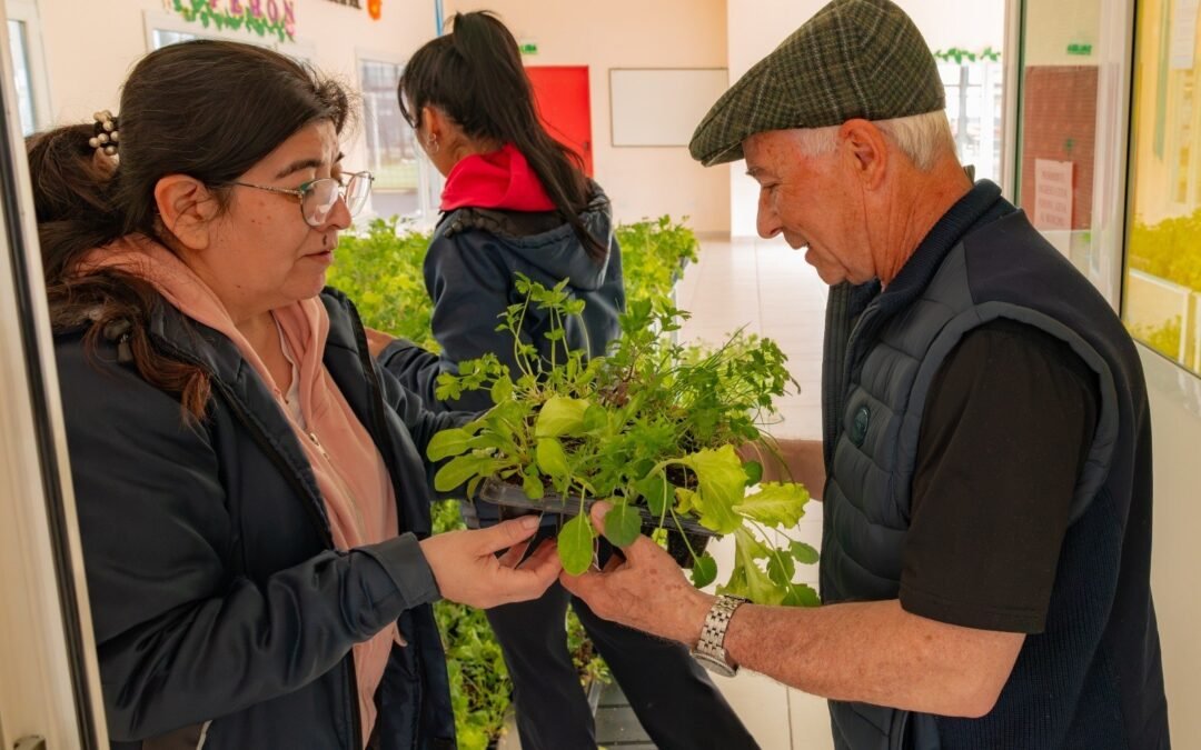 Río Grande reparte 50.000 plantines y prepara nuevos cupos para huertas familiares