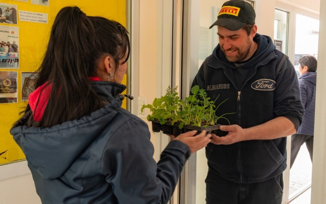 Huertas familiaresHoy se entregan plantines en Margen Sur y mañana cierra la primera etapa